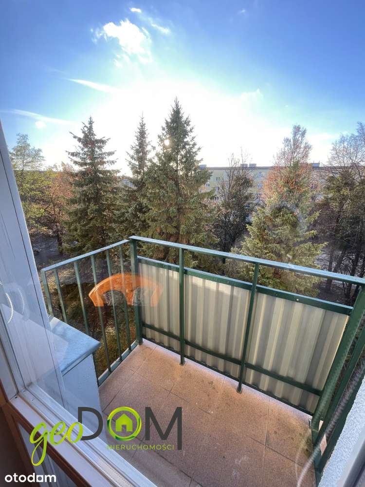 Jednopokojowe mieszkanie- Wolności Iii piętro-9