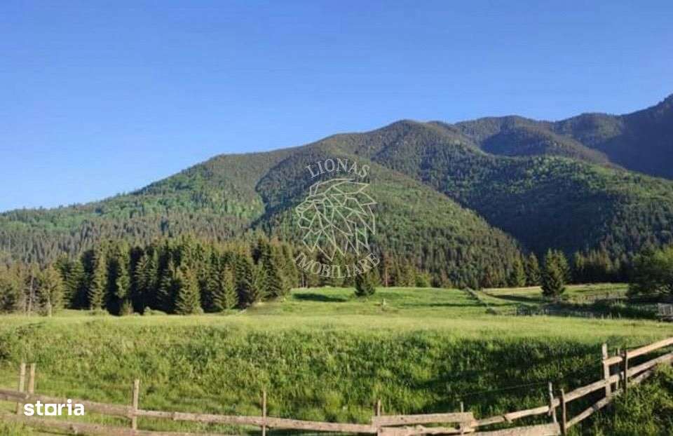 Teren PIATRA FANTANELE - 11.800 mp- ideal investitie, pensiune, hotel - Imagine principală: 2/3