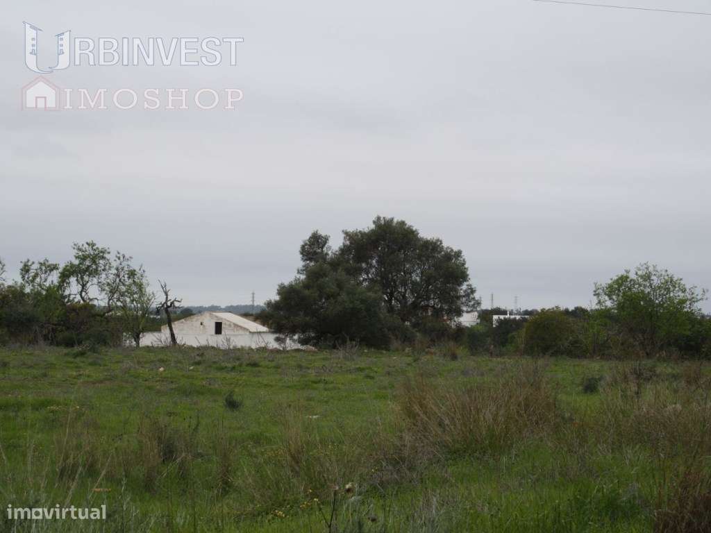 Terreno com Ruina em Falfosa, Santa Barbara de Nexe - Grande imagem: 4/5