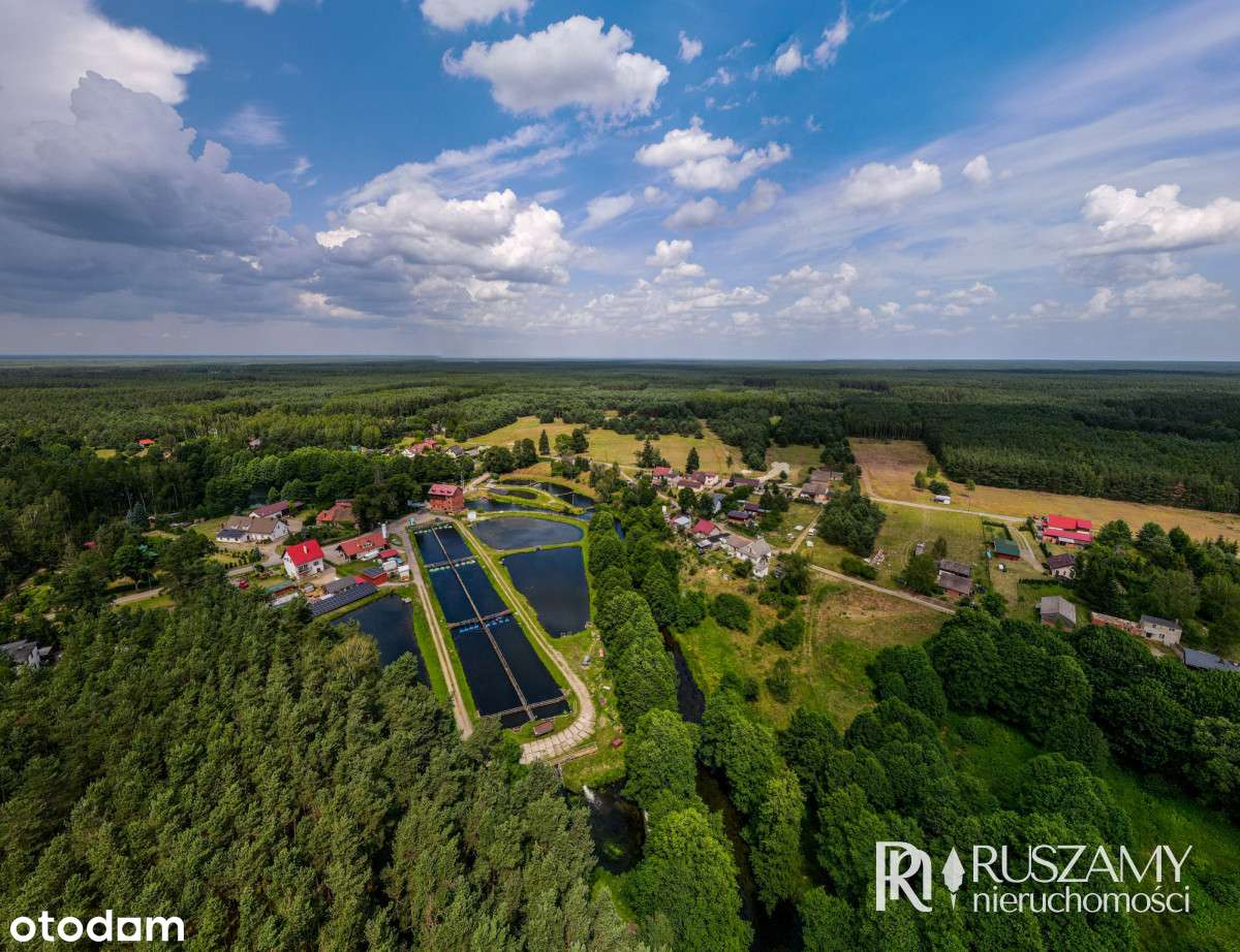 Bory Tucholskie - działki objęte Mpzp-6