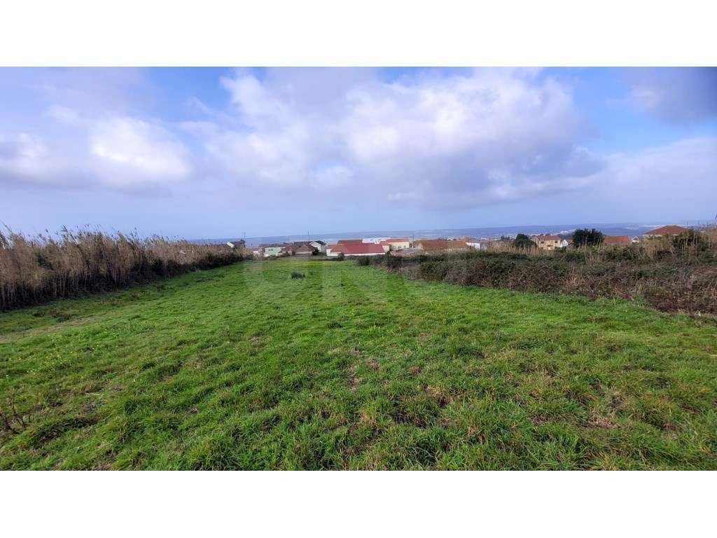 Terreno para construção, Usseira, Óbidos - Grande imagem: 4/11