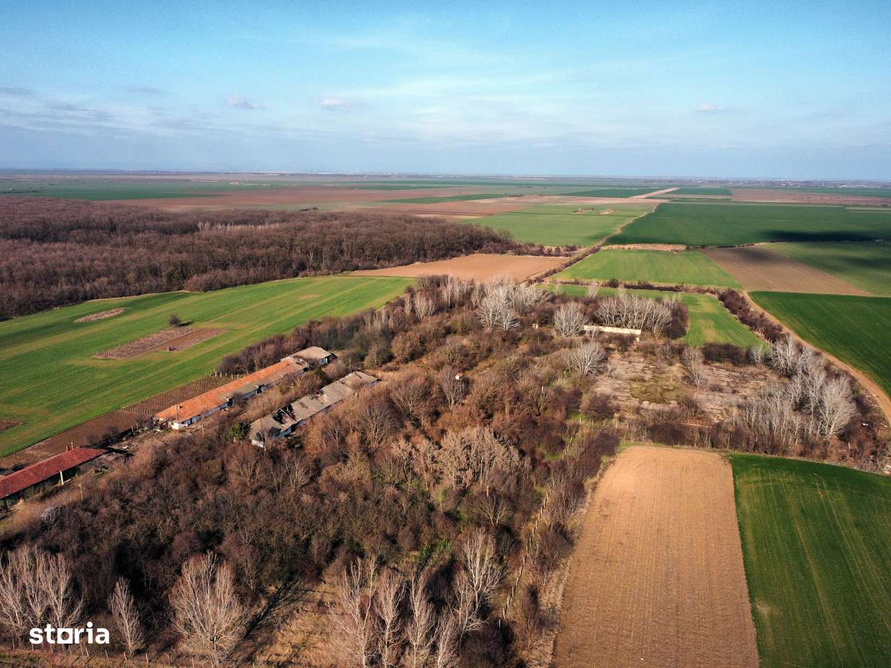 Ferma si livada de meri in judetul Ilfov-16