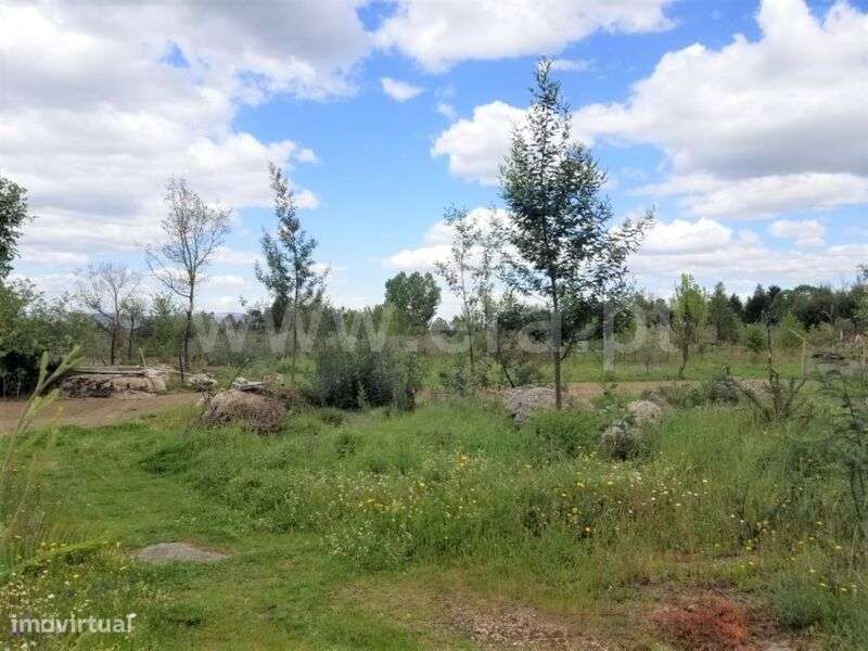 Terreno / Gouveia, Moimenta da Serra e Vinhó - Grande imagem: 4/6
