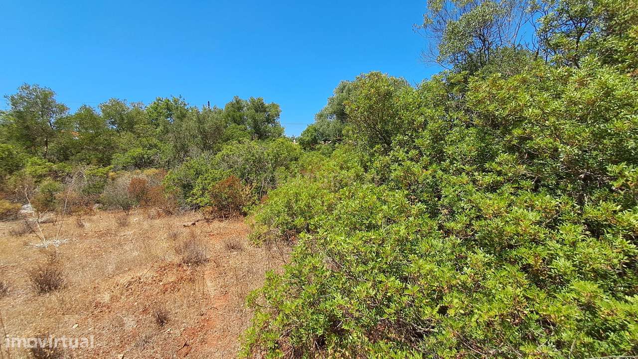 Terreno com 9.135 m² em Boliqueime-18