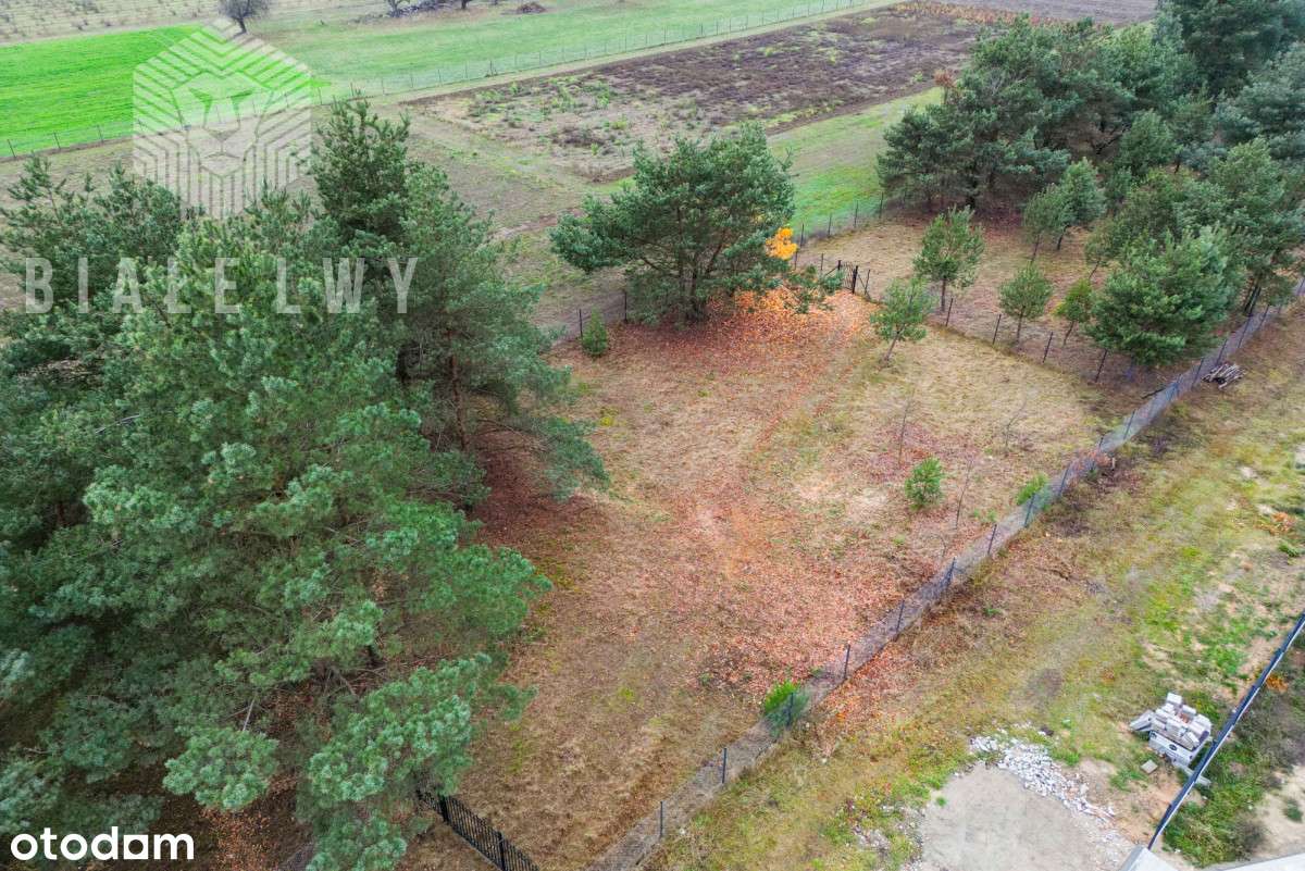 Jachranka - działka pod dom jednorodzinny - Pełny obrazek: 1/19