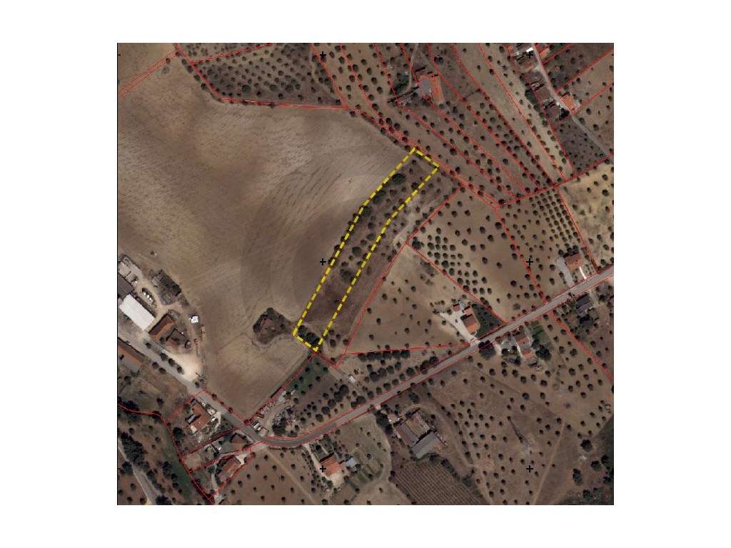 Terreno - Póvoa, Casével, Santarém-3