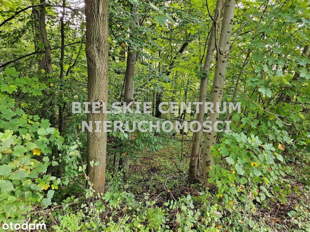 Działka, 13 942 m², Mazańcowice-12