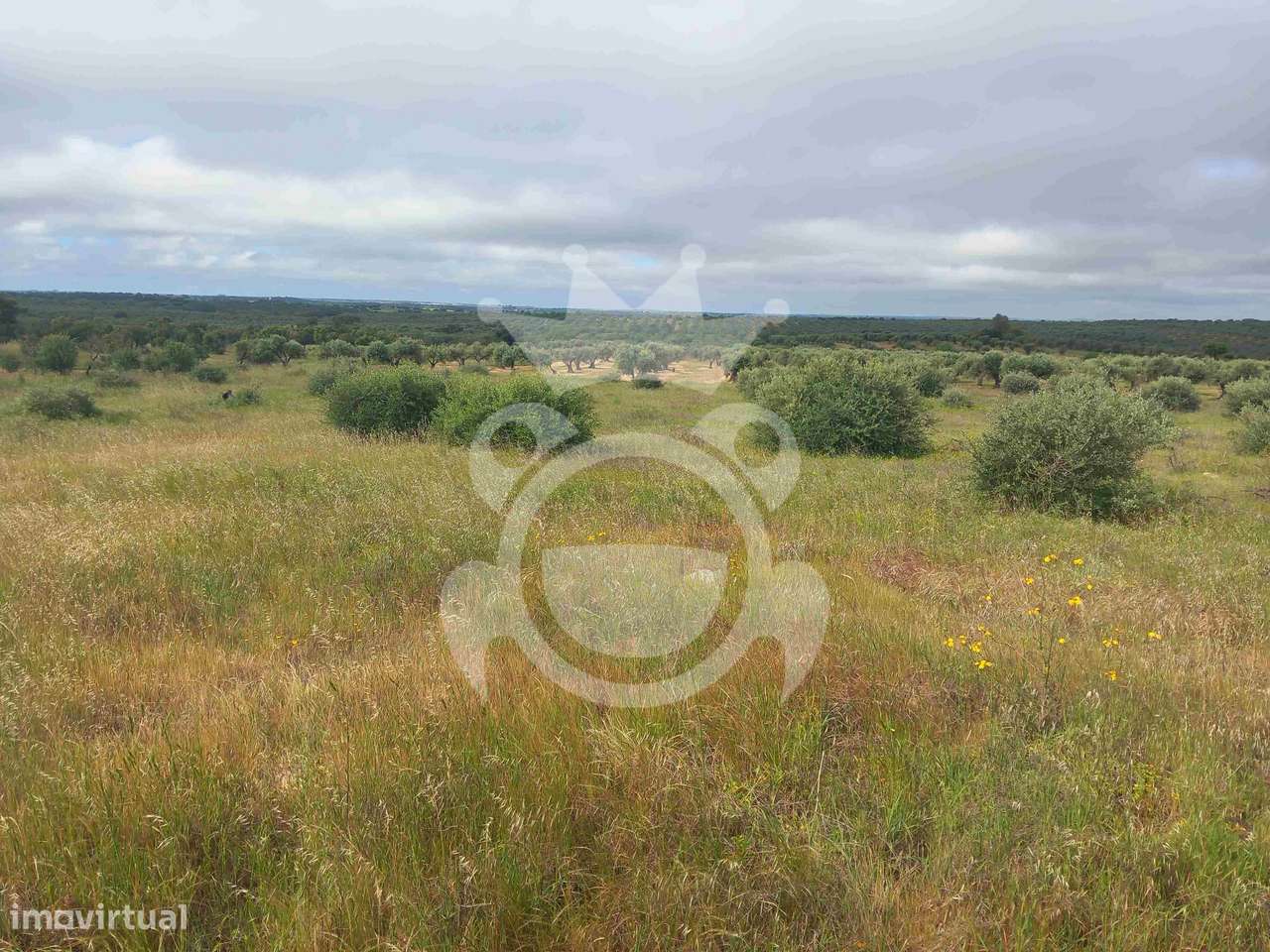 Terreno Rústico com ruína - 3Ha-12