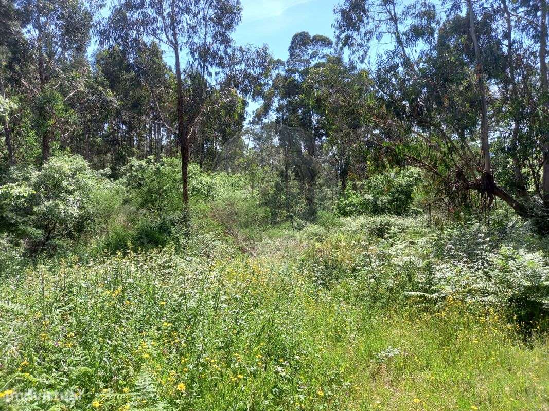 Terreno  para venda - Grande imagem: 4/10