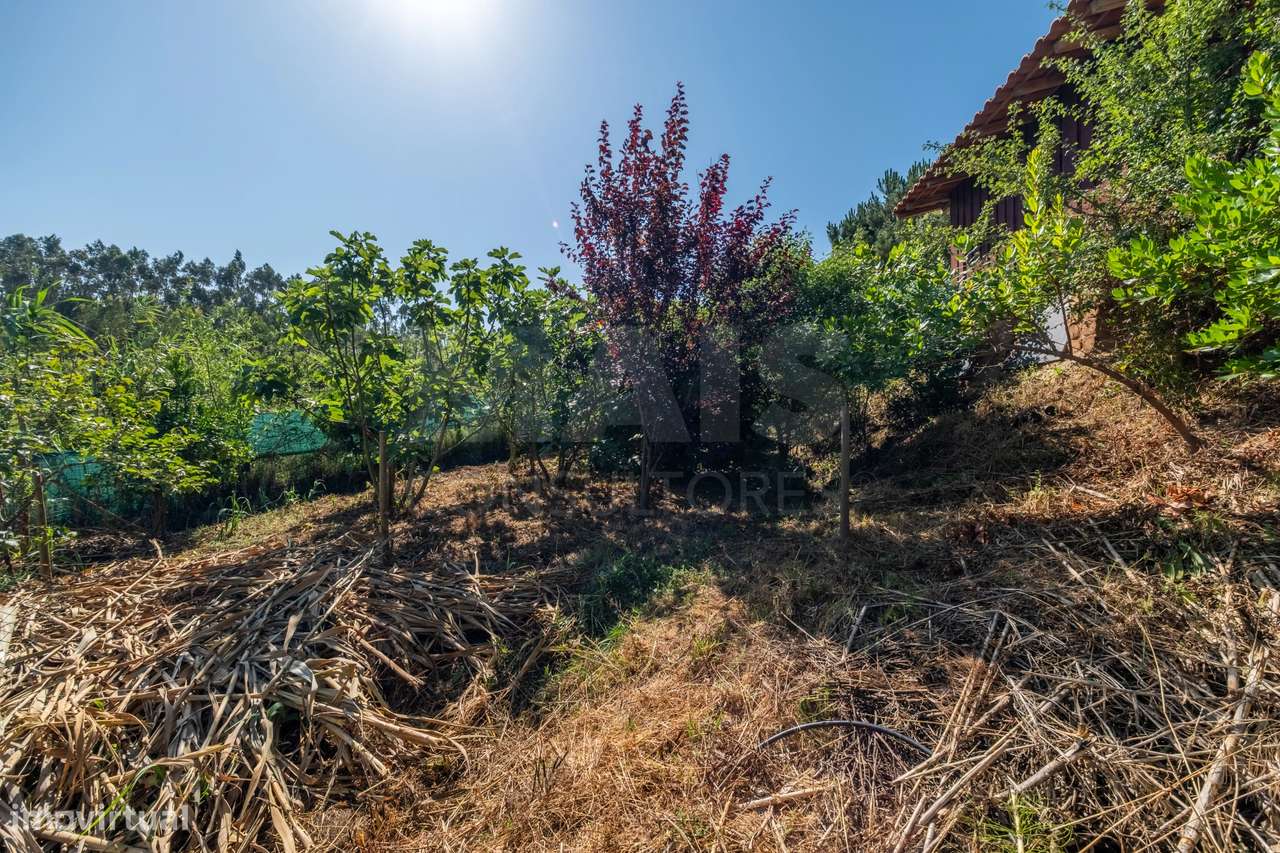 Terreno Agrícola na Fanadia | 16.100 m² de Potencial e Infraestrutu...-7