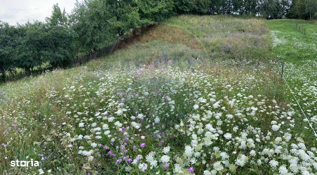 Teren 3,311mp Molid -Vama, Strada Stefan cel Mare, Suceava - Imagine principală: 3/8