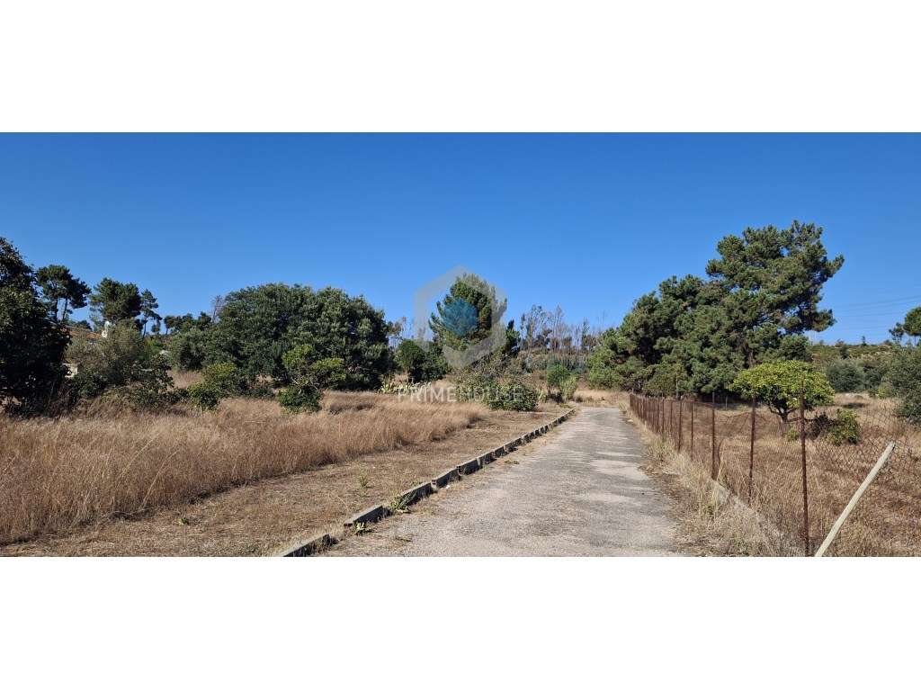 Loteamento com 76 Fogos - Grande imagem: 4/10