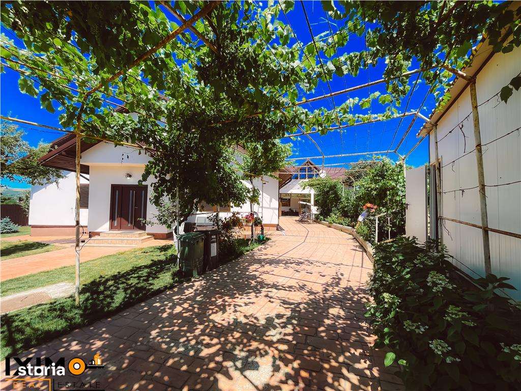 Vila Premium Penny - Imagine principală: 2/19