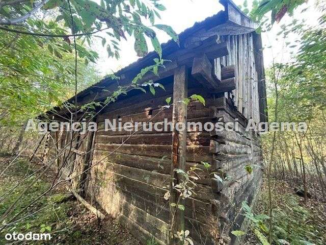 Działka, 5 303 m², Osłowo-5