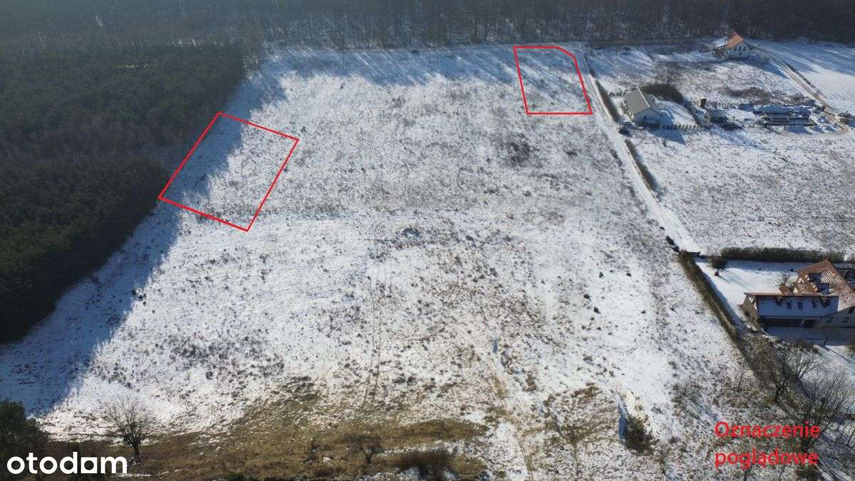 Zamieszkaj przy samym lesie w Zamku Bierzgłowskim - Pełny obrazek: 5/13