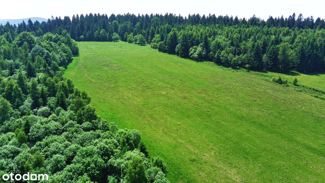 Na Sprzedaż Pięknie Położony Grunt Budowlany w Kotlinie Kłodzkiej-18