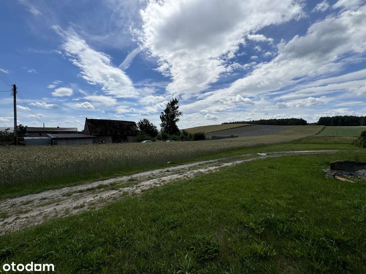 Działka budowlana z własnym lasem i asfaltowym dojazdem, media!-5