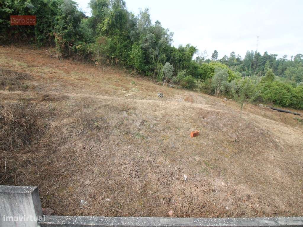 Terreno Marco dos Pereiros - Coimbra - Grande imagem: 3/4