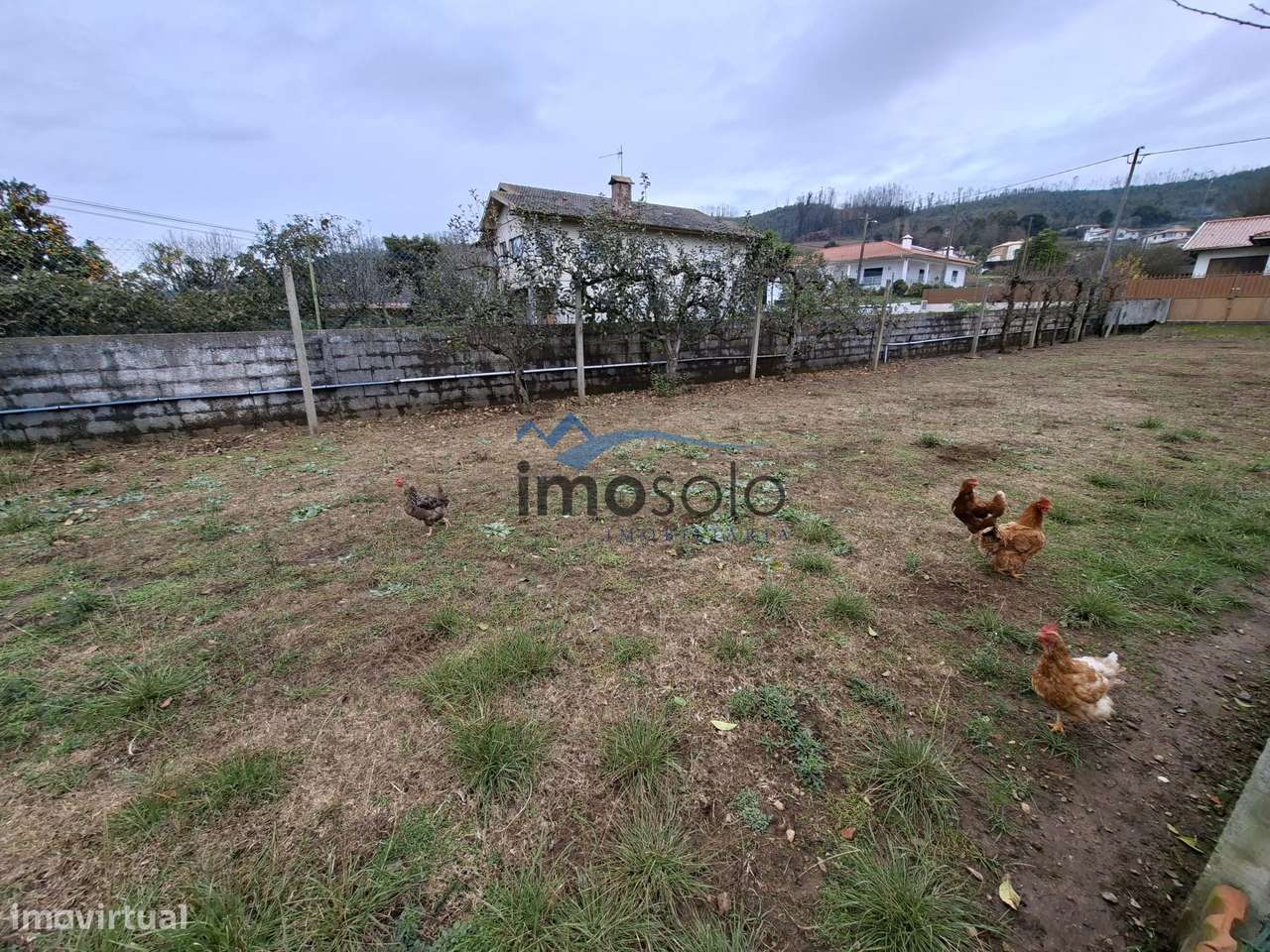 Moradia Térrea T3 na Branca, Albergaria-A-Velha-28