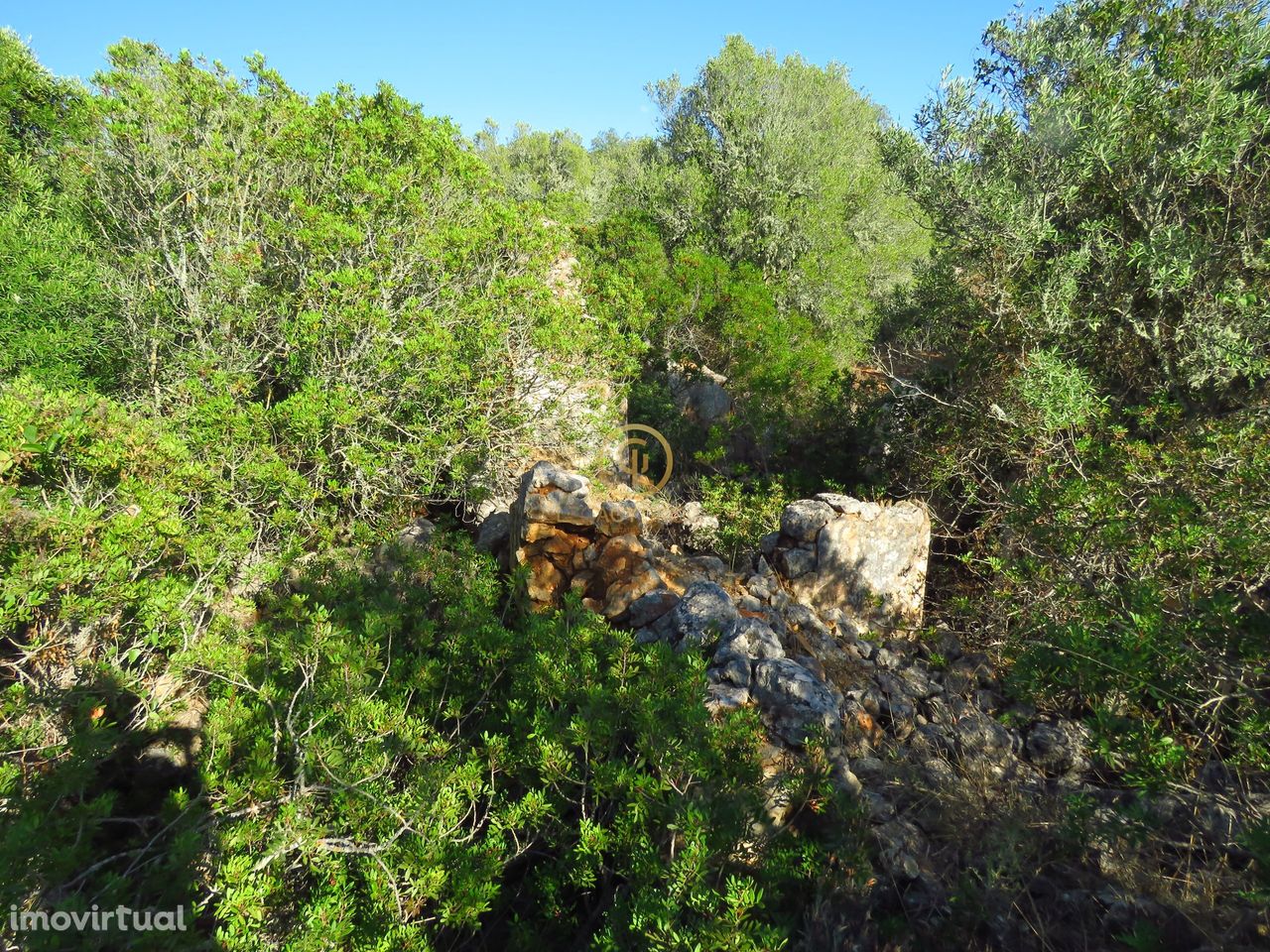 Terrenos Rústicos com  2 Números Urbanos para Venda 193.260 m2  Santa