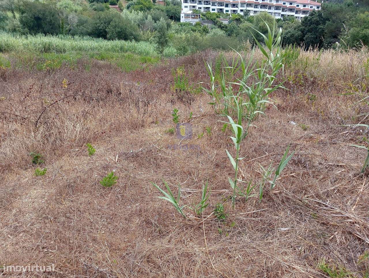 Terreno urbano com 4.880 m2 na Cruz da Areia, Leiria, com estudo para - Grande imagem: 3/11