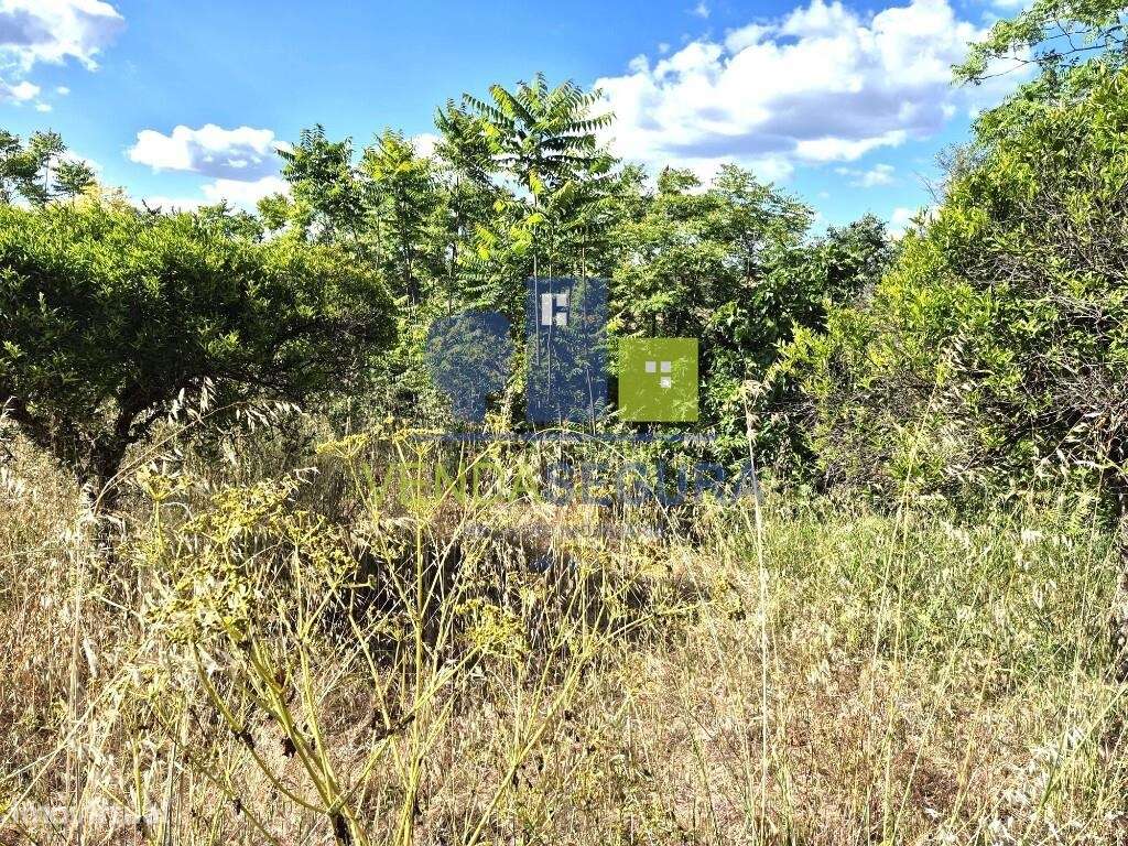 Prédio  Misto, com 0,7250 Ha | MOURA-14