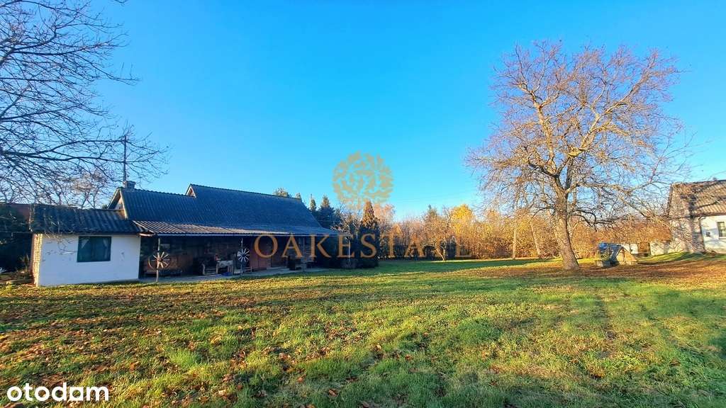 Dom siedlisko 6900m2 Hale magazynowe Agroturystyka - Pełny obrazek: 5/20