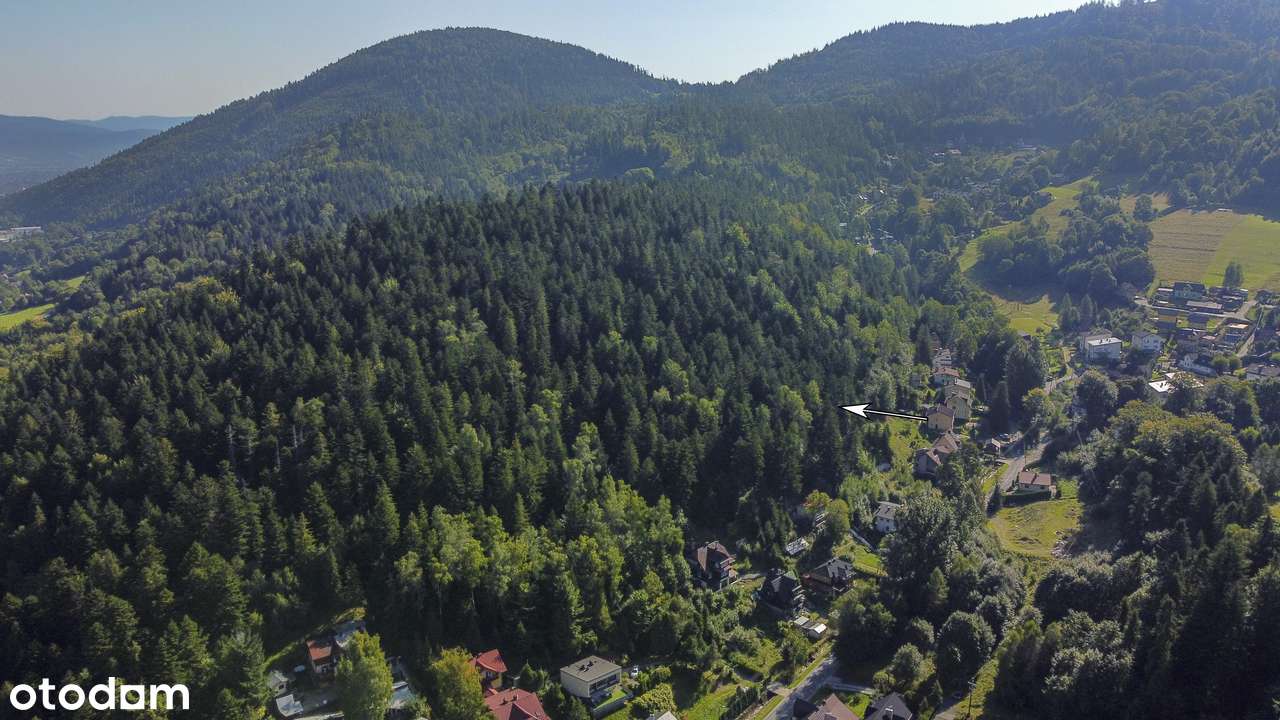 Działka leśna ul. Uzdrowiskowa Szczyrk - Pełny obrazek: 3/11