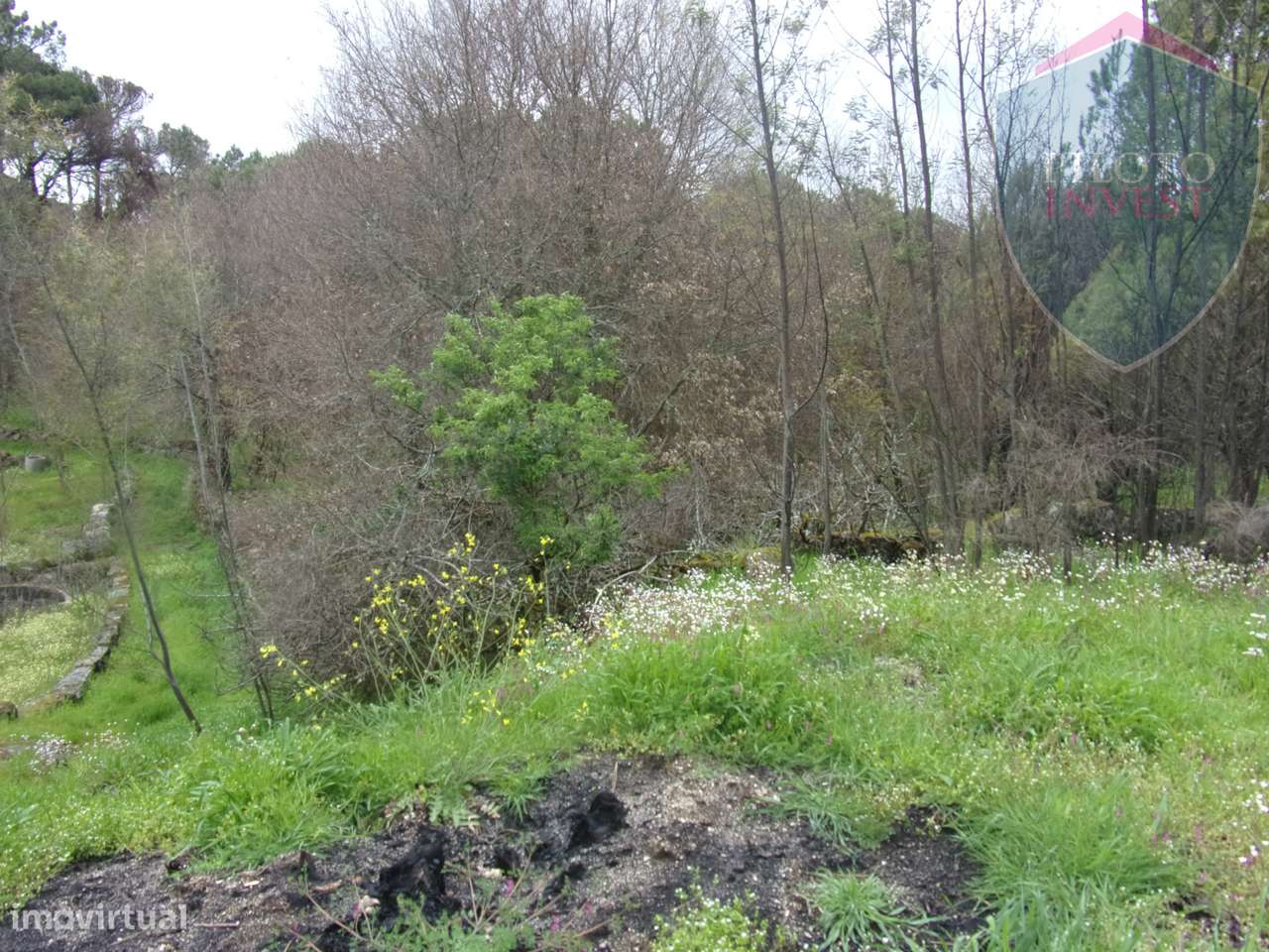 Terreno Para Construção  Venda em Silgueiros,Viseu - Grande imagem: 5/12