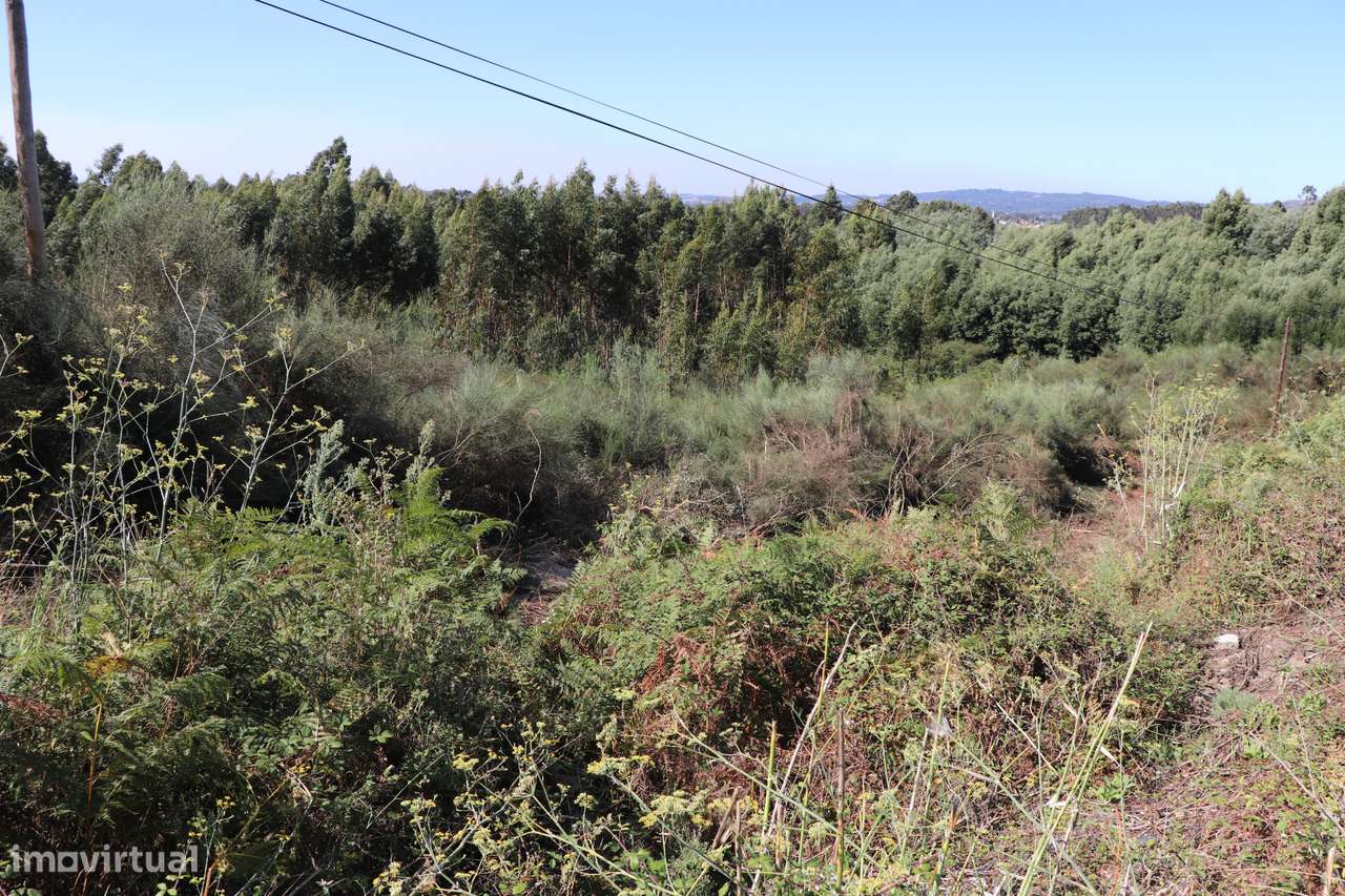 Lote de Terreno  Venda em Lustosa e Barrosas (Santo Estêvão),Lousada - Grande imagem: 2/5