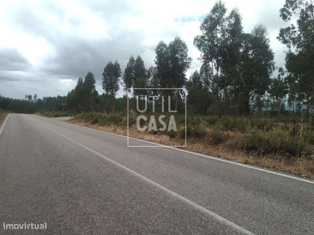 Terreno em Ortiga (Mação) - Grande imagem: 4/5