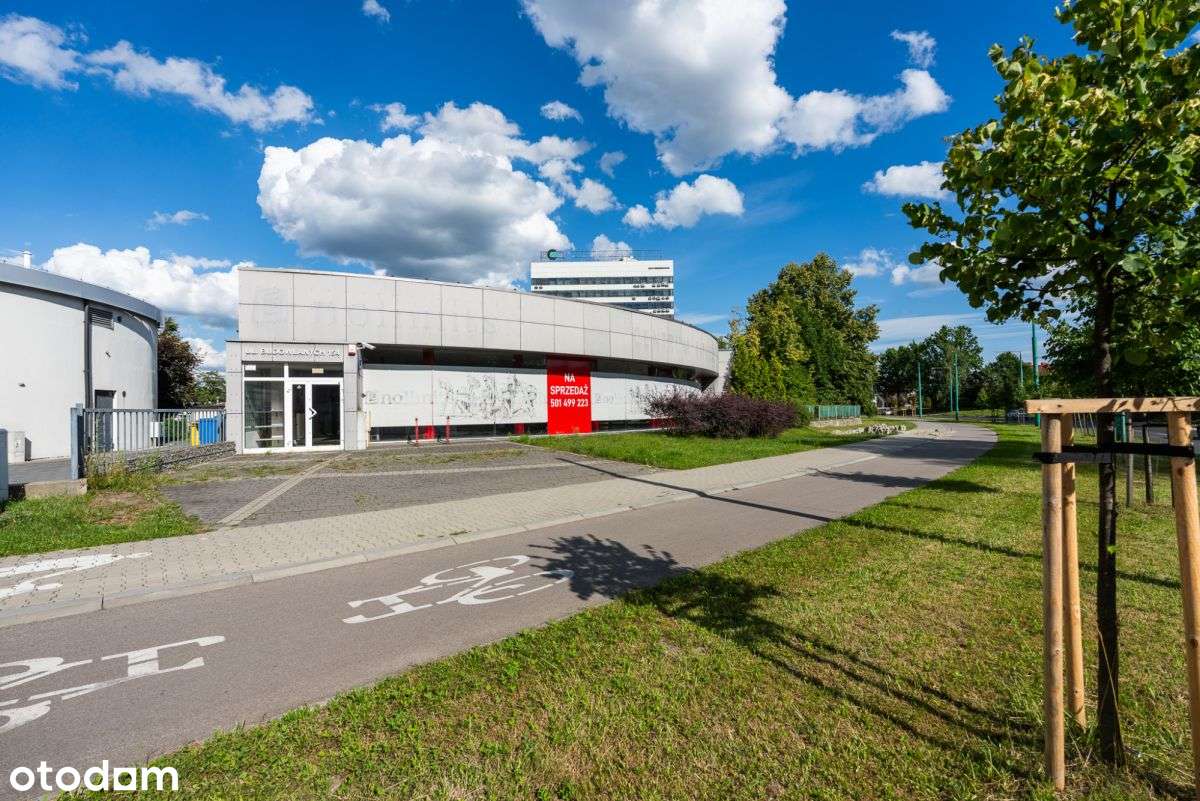 Budynek handlowo usługowy z dużą witryną - Pełny obrazek: 3/9