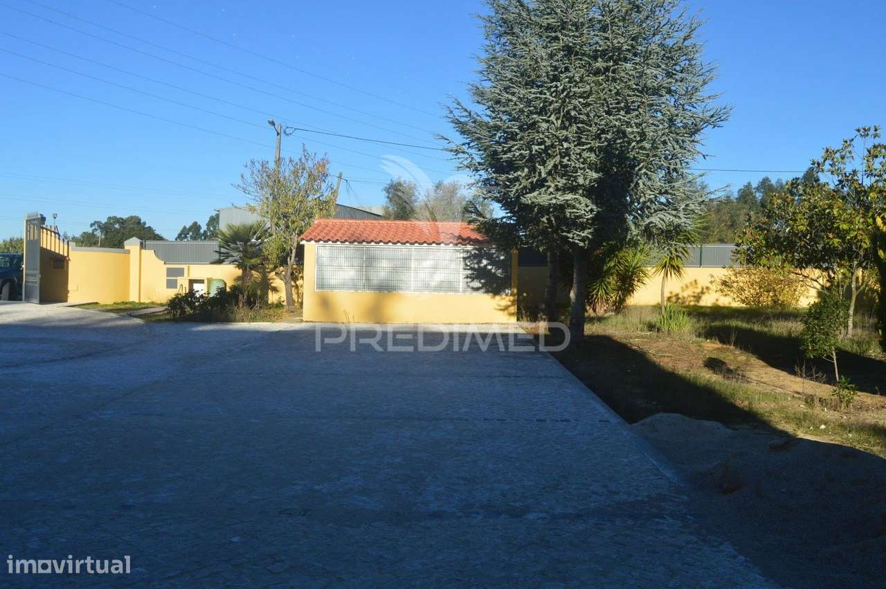 Quinta T16 em Palmela - Grande imagem: 5/24