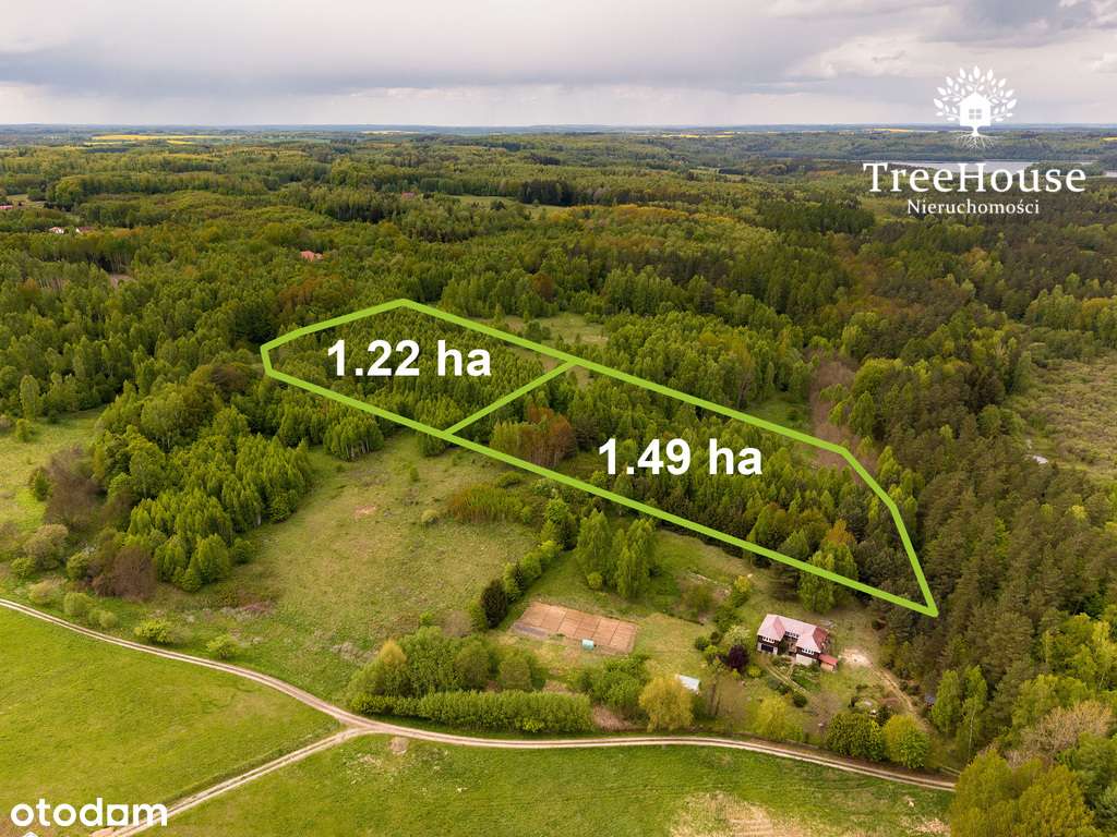 Działki w otulinie lasu nad jeziorem - Pełny obrazek: 5/17