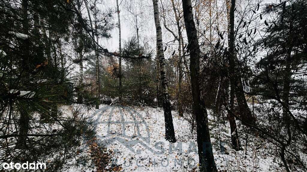 Urocza działka za miastem, Tuszyn, Wodzin-11