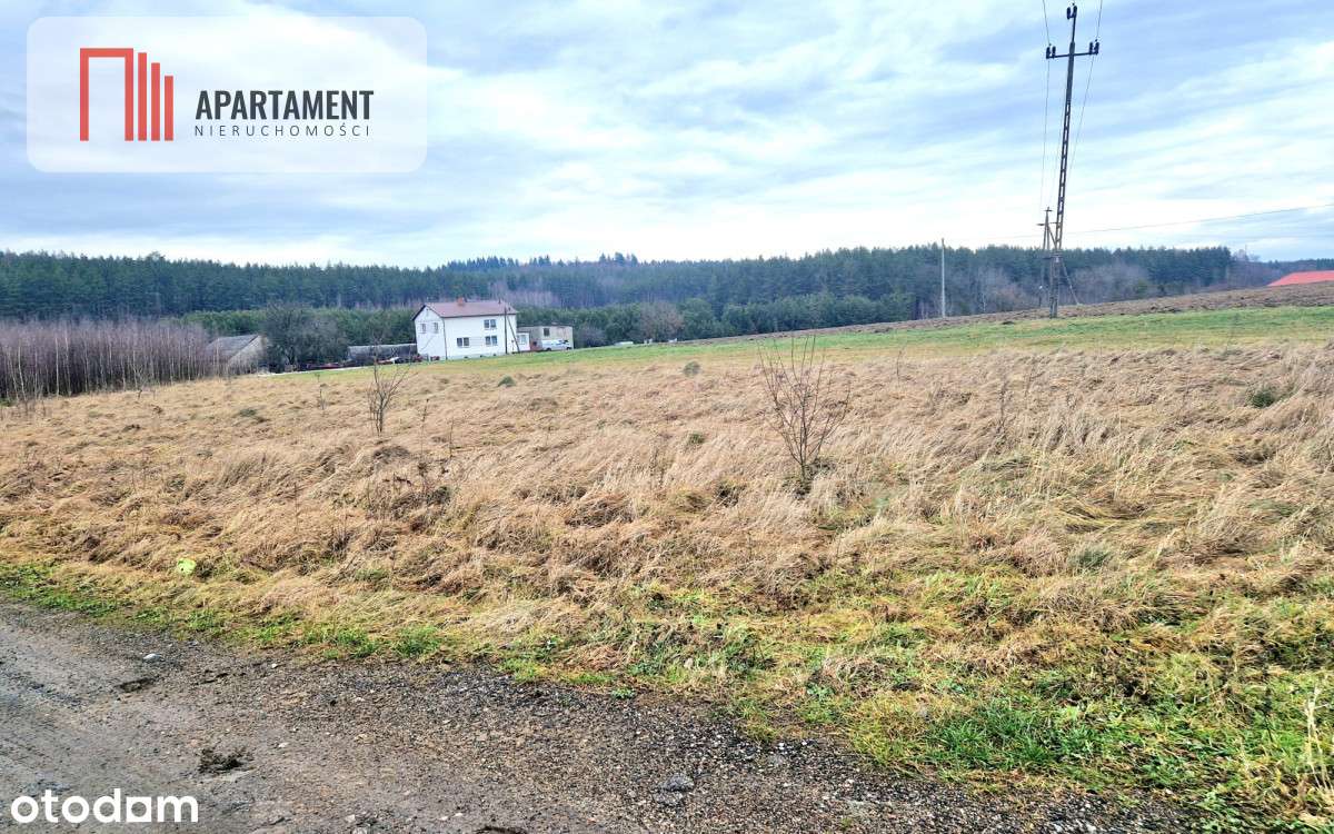 Kompleks działek, objęte Mpzp! - Pełny obrazek: 5/5