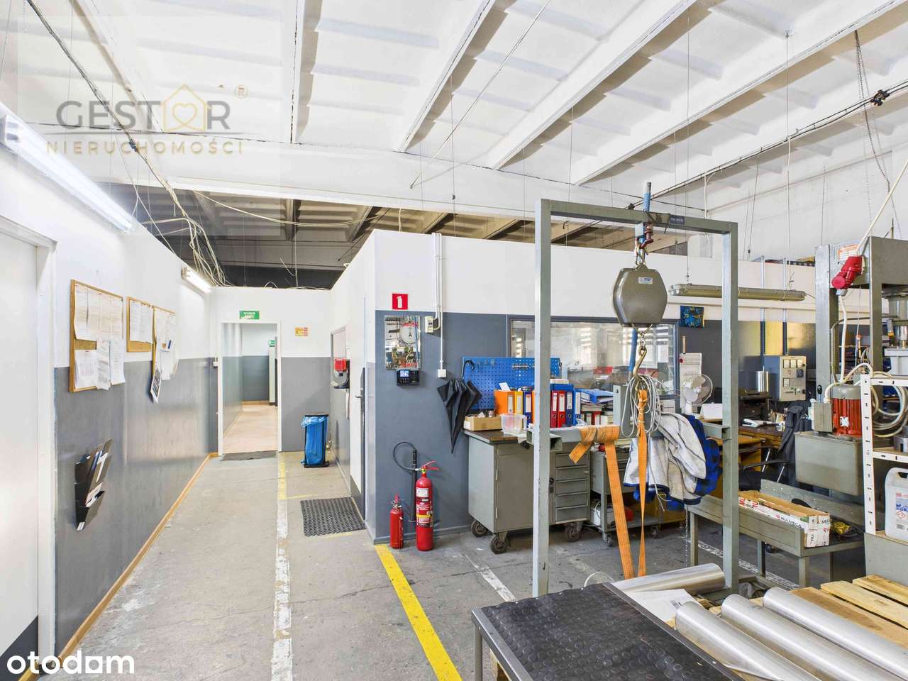 Kompleks hal produkcyjno-magazynowych z biurami – gotowy do inwestycji-16