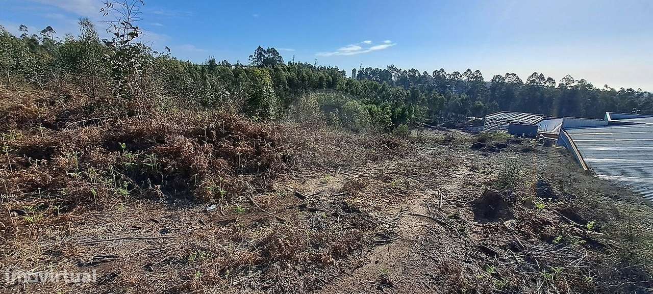 Terreno  para venda - Grande imagem: 5/6