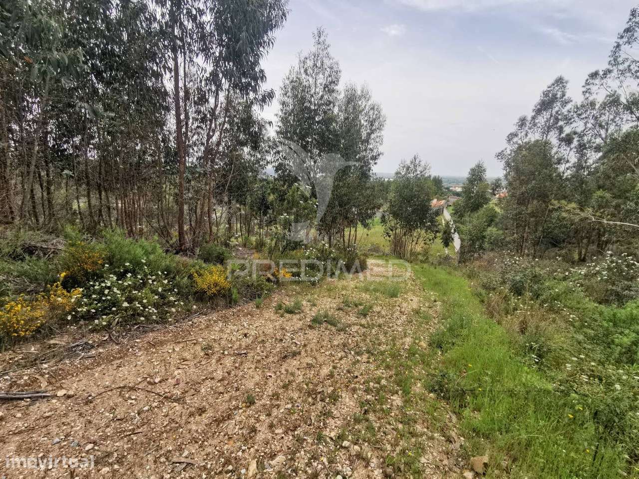 Terreno Misto - Grande imagem: 4/37