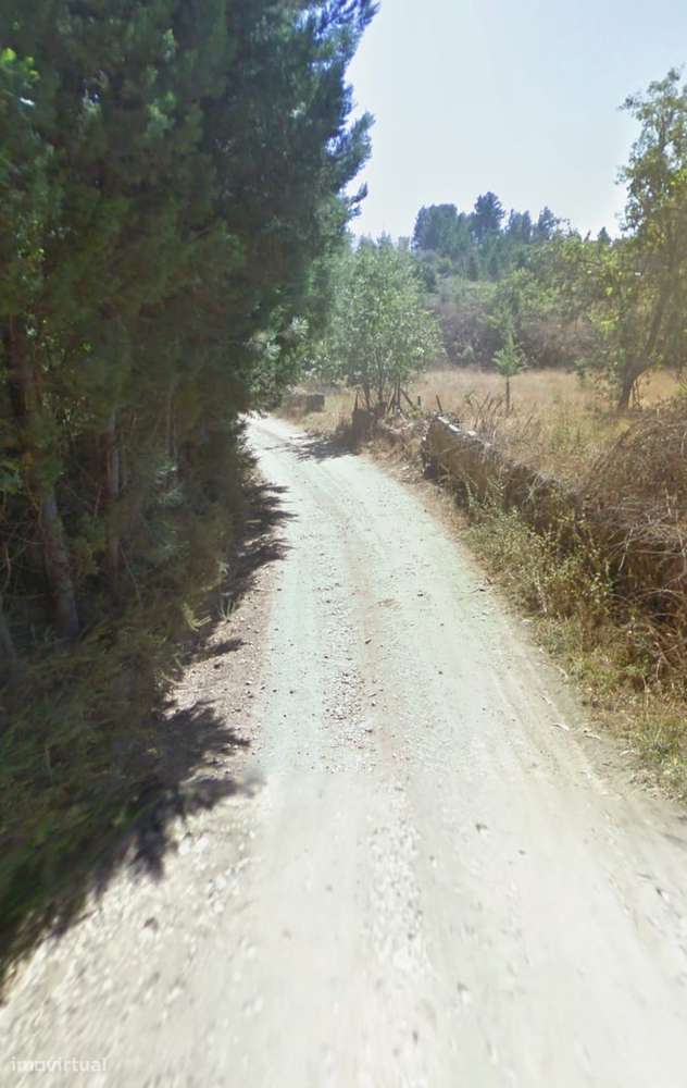Terreno com 21 000 m2 Tábua Coimbra - Grande imagem: 4/8