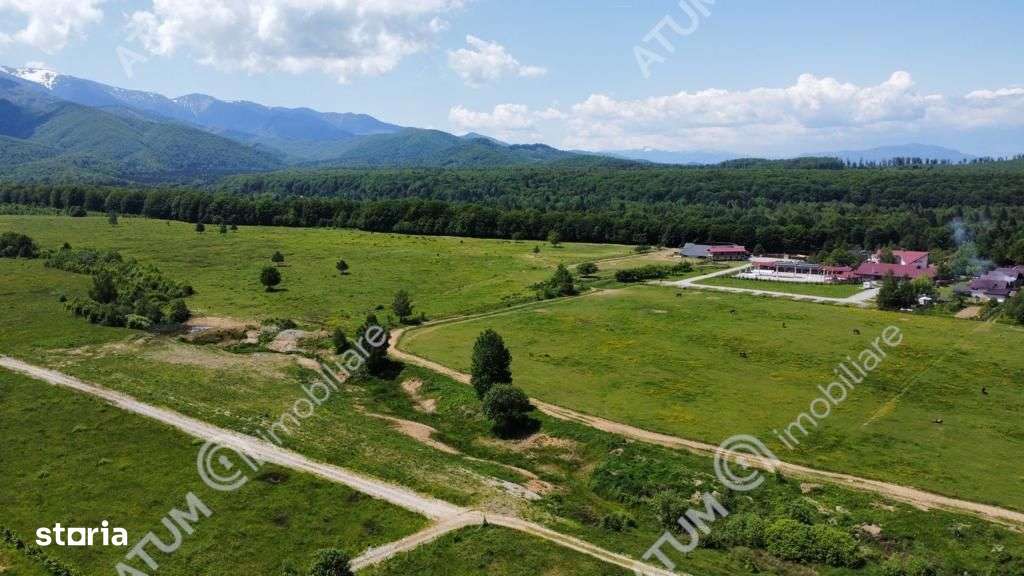 Teren Intravilan 1600 mp in Avrig zona Valea Avrigului - Imagine principală: 1/4