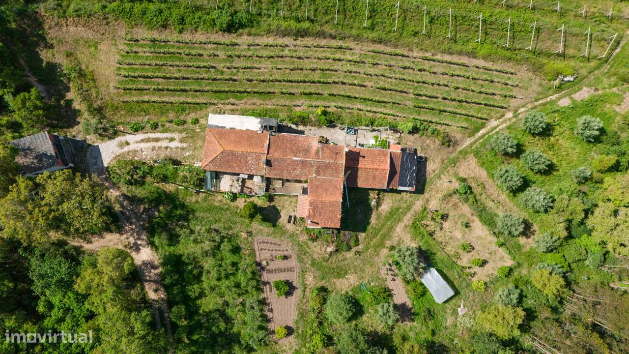 Quinta com 8 hectares com potencial para construção – Antanhol - Coimb-5