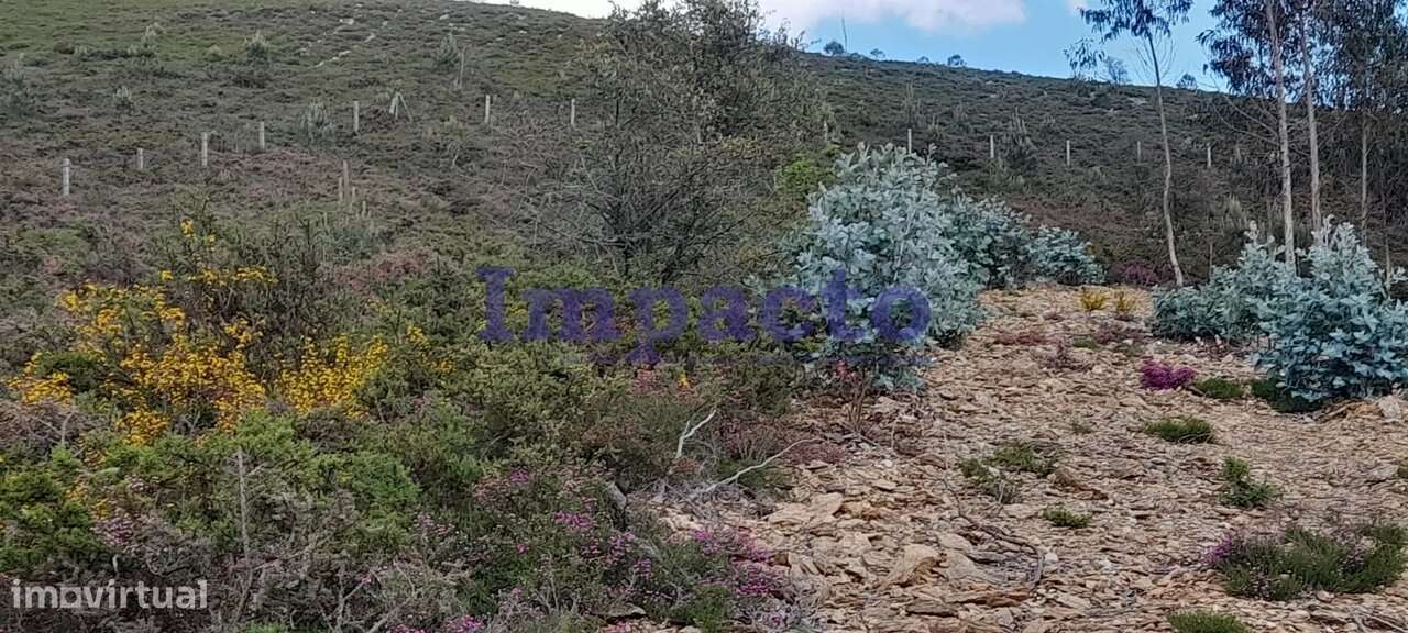 Terreno rústico em Milheirós de Poiares, Santa Maria da Feira - Grande imagem: 2/6