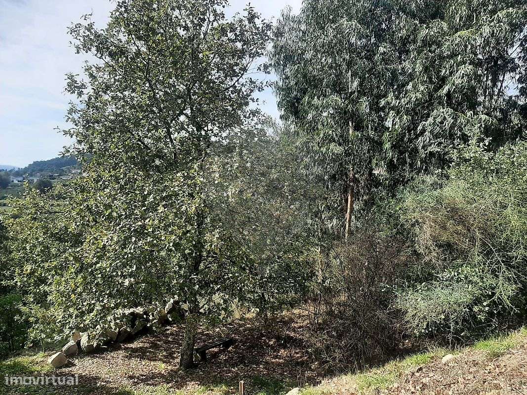 Terreno  para venda - Grande imagem: 5/10