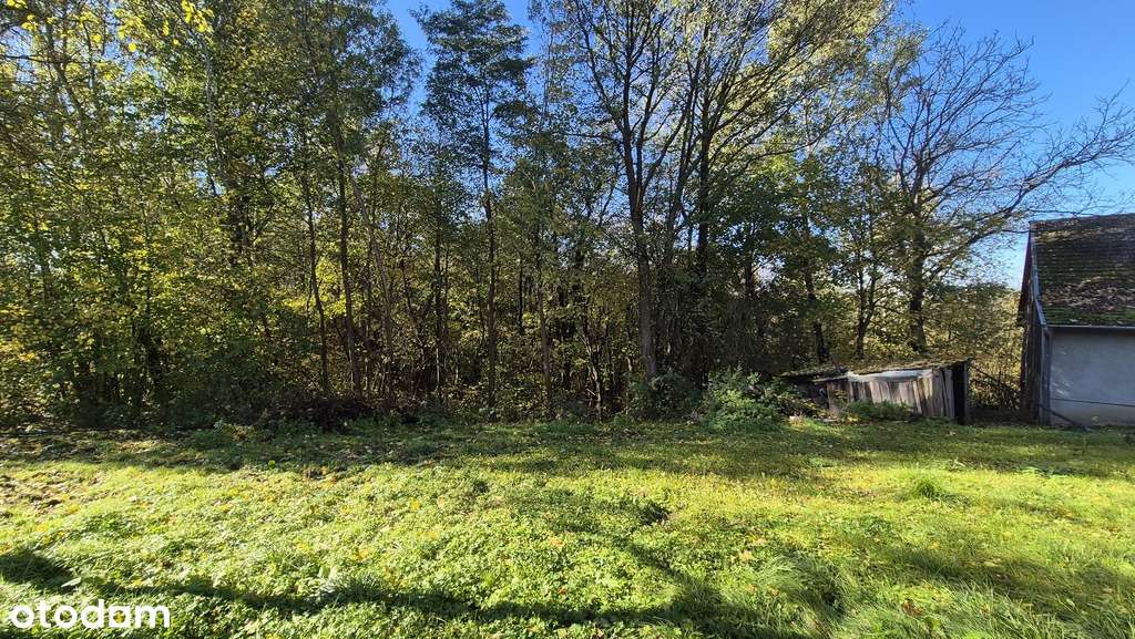 Gospodarstwo z domem 4ha ziemi-18