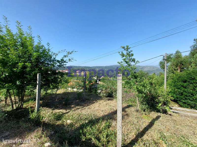 Moradia para Restaurar T1, Vale de Cambra - Grande imagem: 5/7