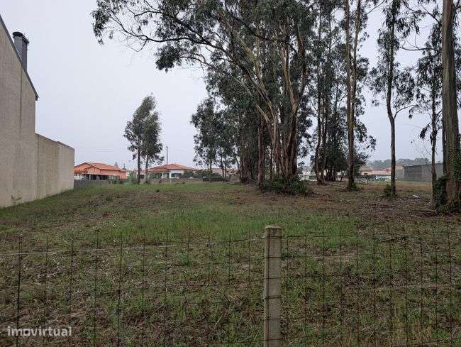 Terreno, 1 800 m², Monte-10