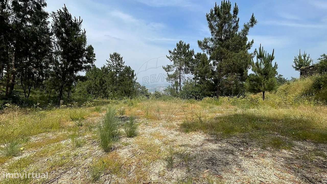 Terreno  para venda - Grande imagem: 5/6