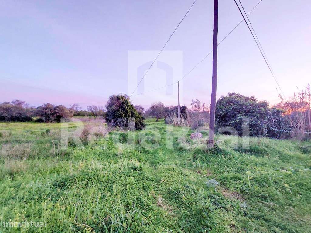 Casa Antiga T3 Venda Faro-11