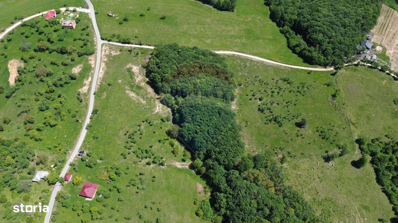 DE VÂNZARE – Teren intravilan 3 hectare, in Codrul Butesii, Maramures - Imagine principală: 4/5